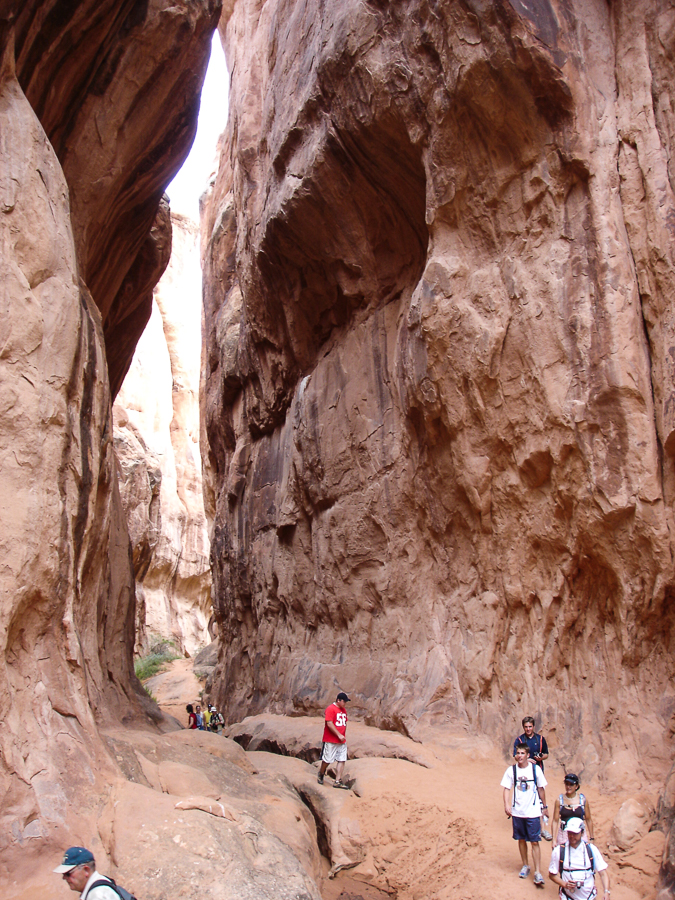 arches national park canyon