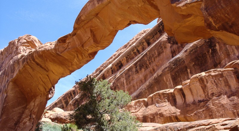 arches national park landscape arch