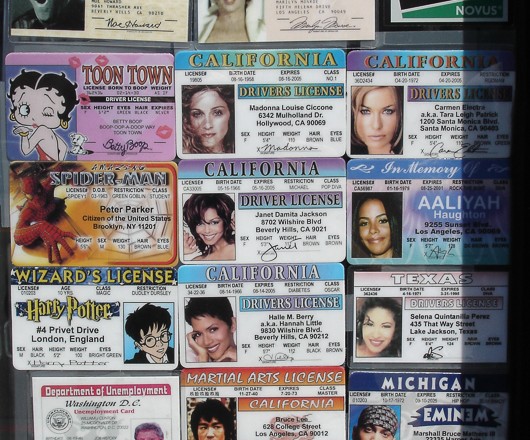 hollywood celebrity driving licence