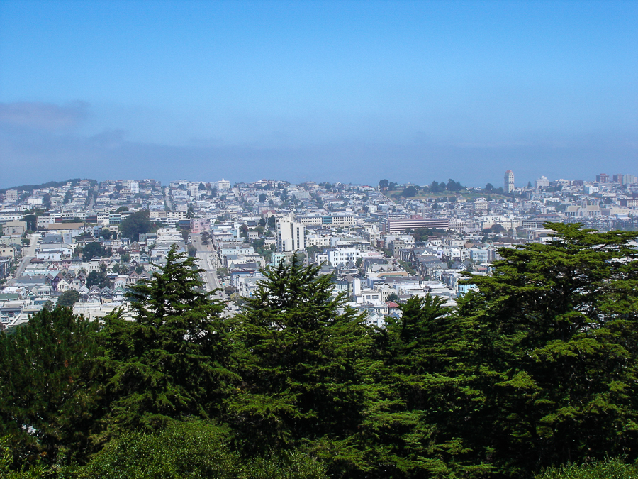 san francisco view from coit