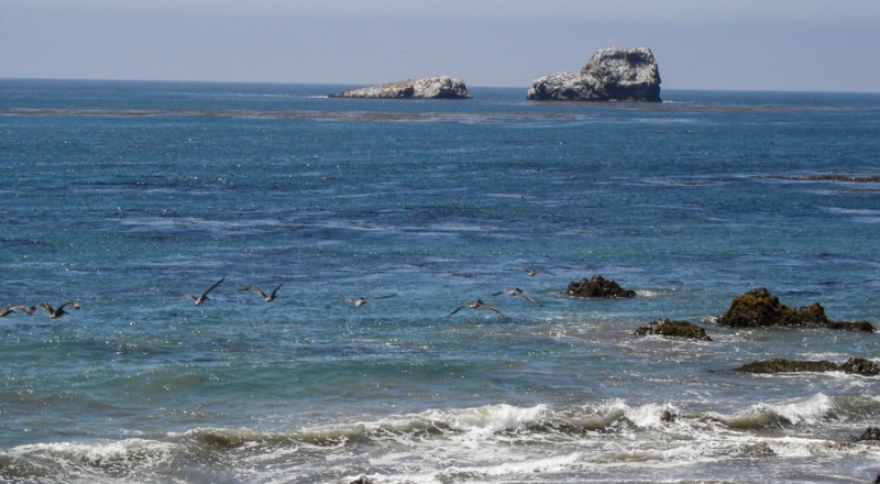 san simeon sea