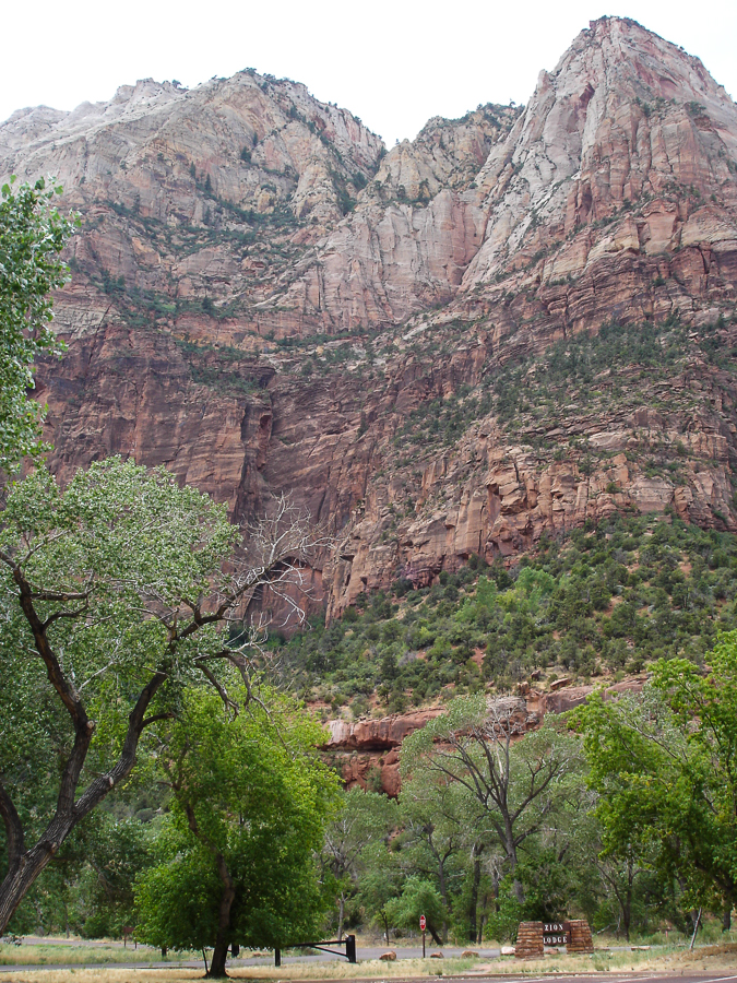 zion view