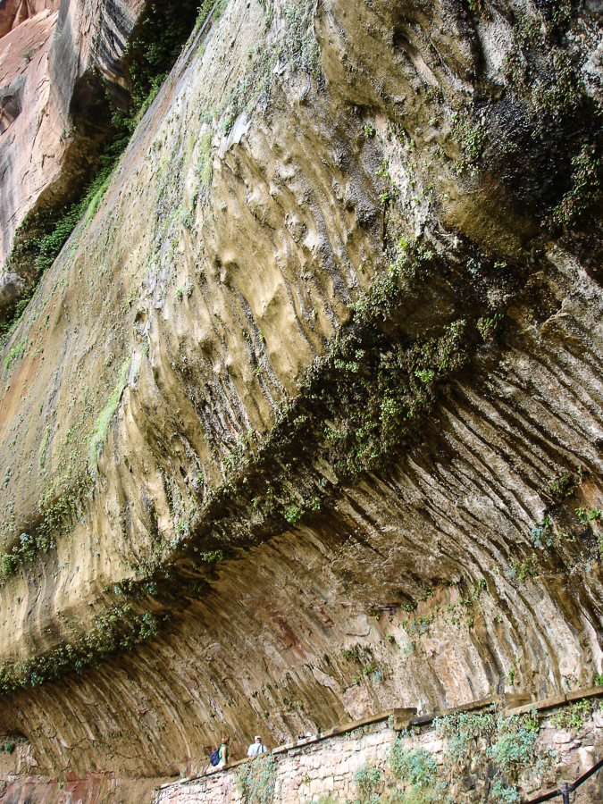 zion weeping walls