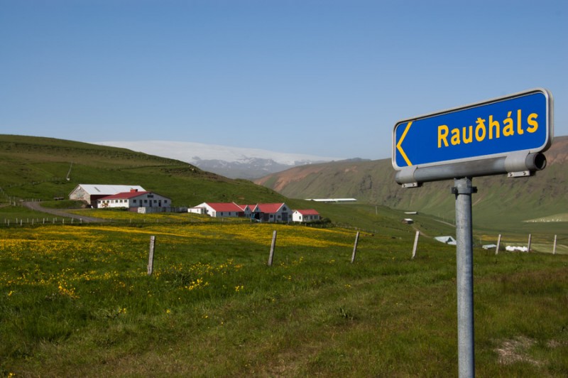 iceland raudhals