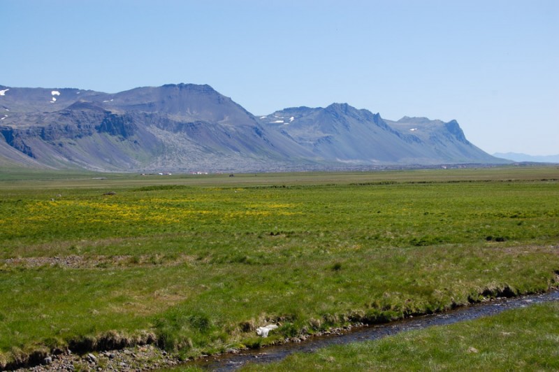 iceland snaefellsnes meadow