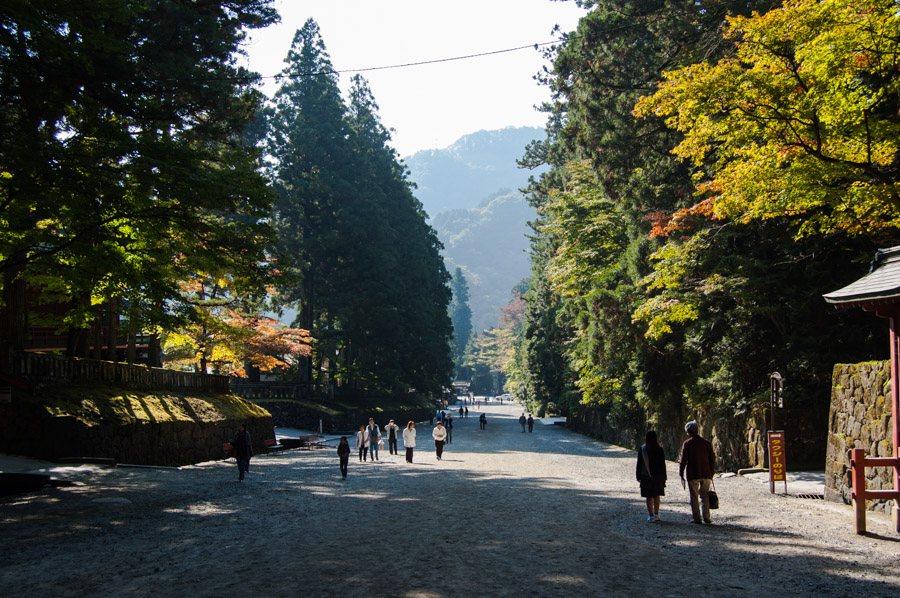 nikko walks