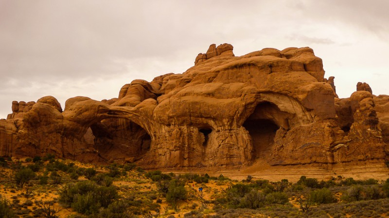 arches national park elephants