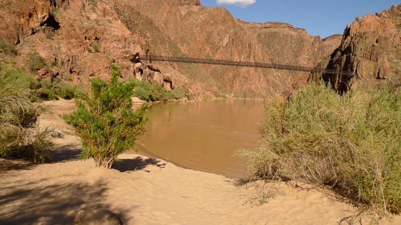 bright angel campground bridge
