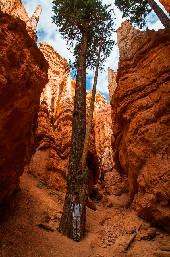 bryce canyon utah erwan
