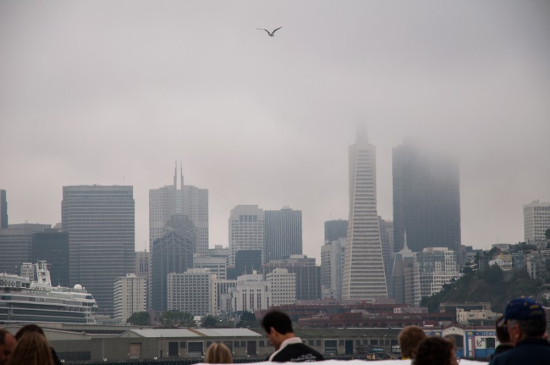 san francisco skyline fog