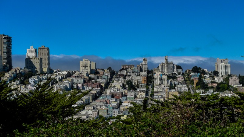 san francisco view from coit