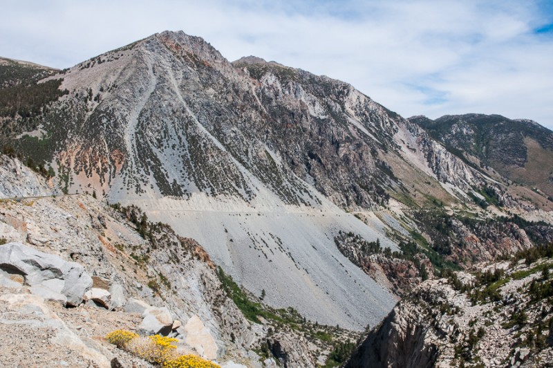 yosemite tioga pass road