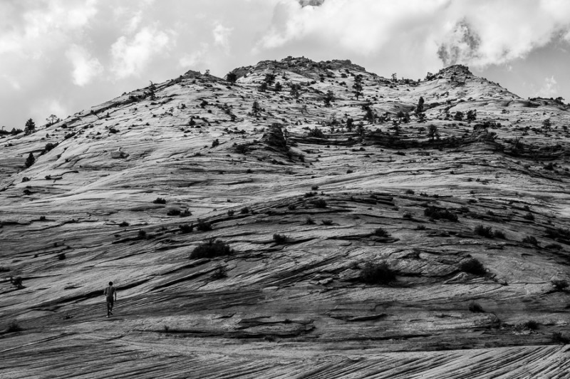 zion national park bw