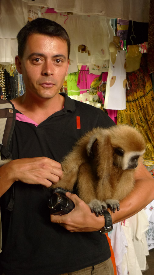 phang nga floating village monkey