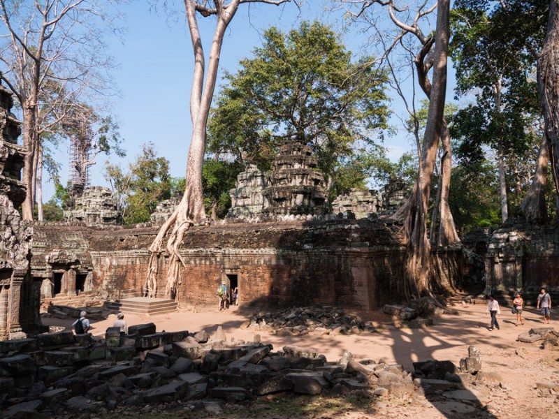 siem reap angkor vat jungle temple