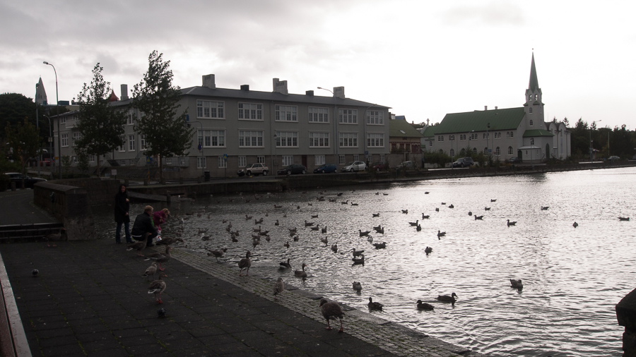 reykjavik lake