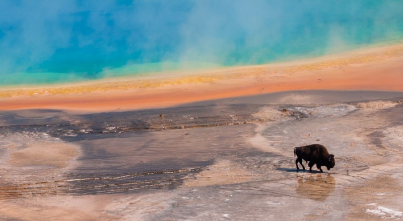 road trip usa canada