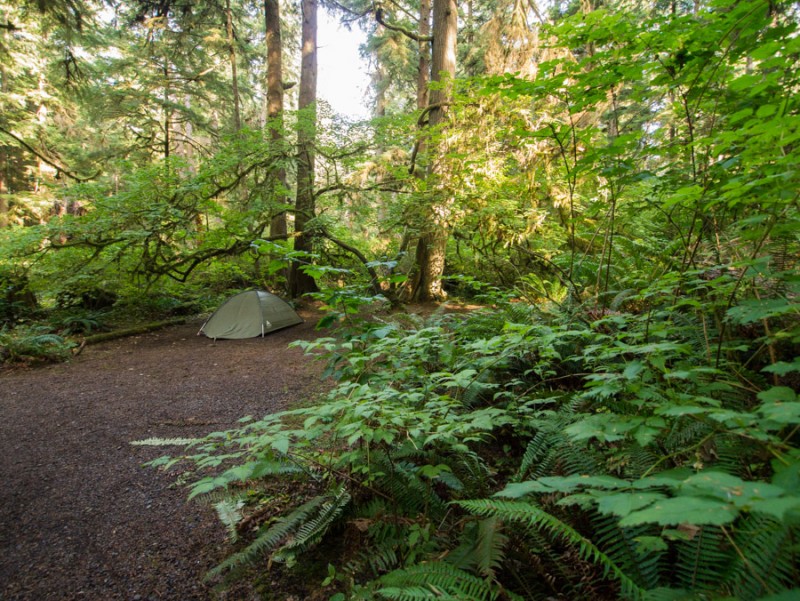 usa olympic national parc ideal camping