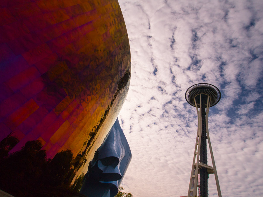 usa seattle needle