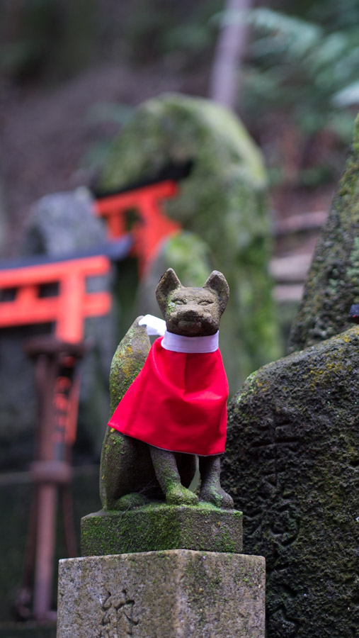japan kyoto fushimi nari statue