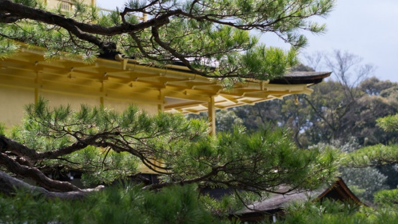japan kyoto golden pavilion detail