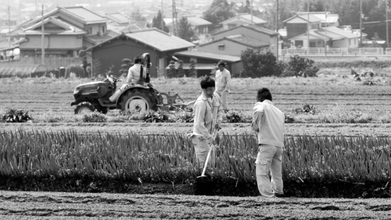 japan nara countryside fields bw