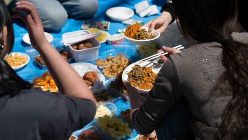 japan picnic food in tokyo