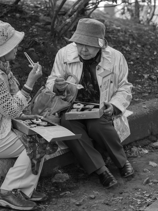 japan tokyo picnic for ladies
