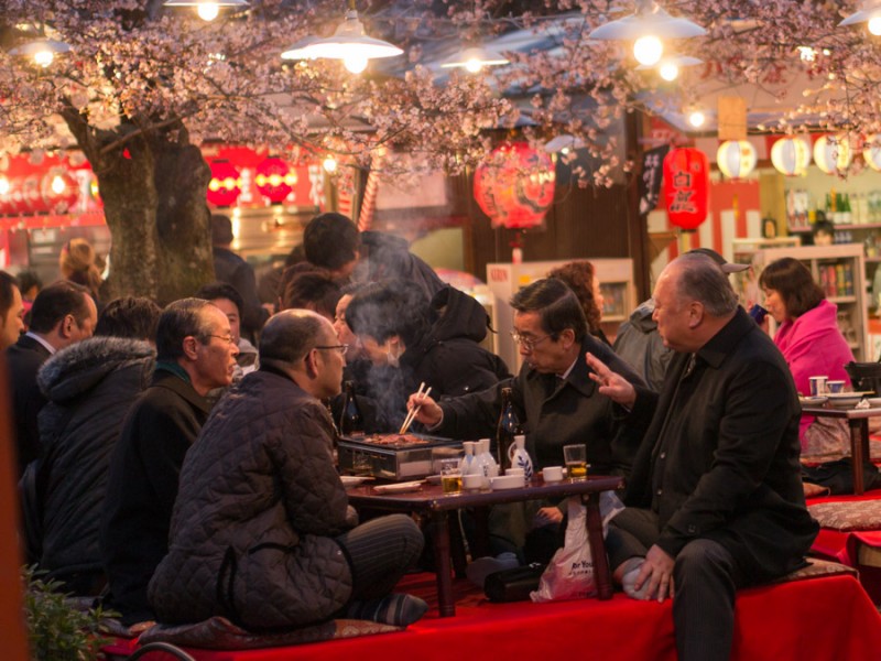 kyoto sakura at night