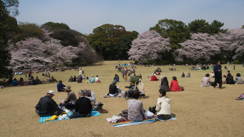 tokyo shinjuku park picnic