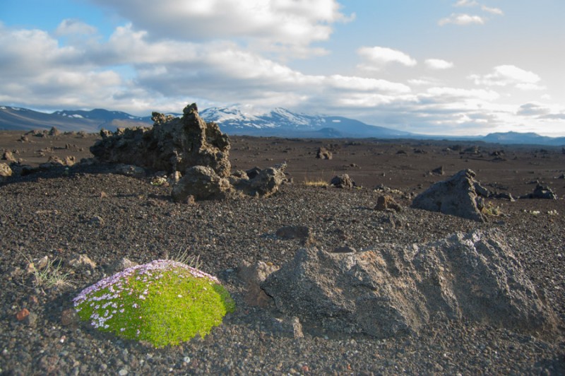 iceland hekla green mot