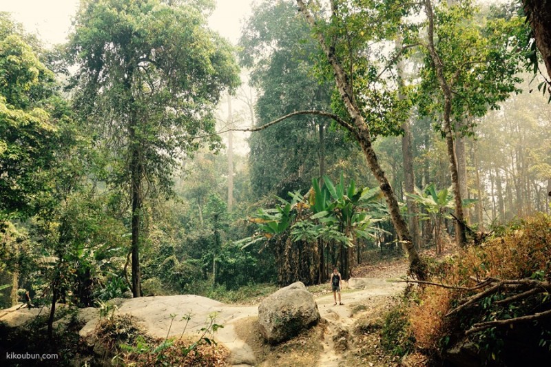 thailand chiang mai chiang mai countryside hike