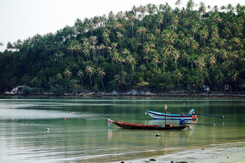 thailand ko pha ngan boat and trees