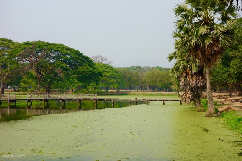 thailand sukhothai historical park swamp