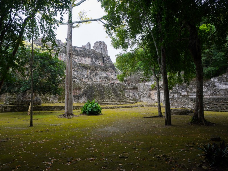 calakmul archeology