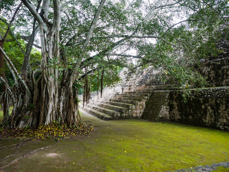 calakmul yucatan