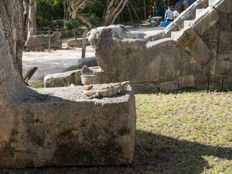 chichen itza lezard