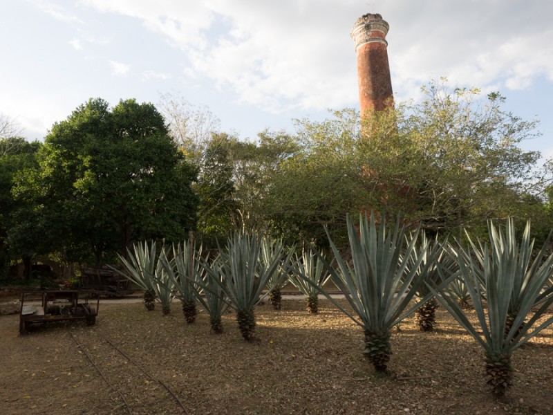 hacienda ochil garden