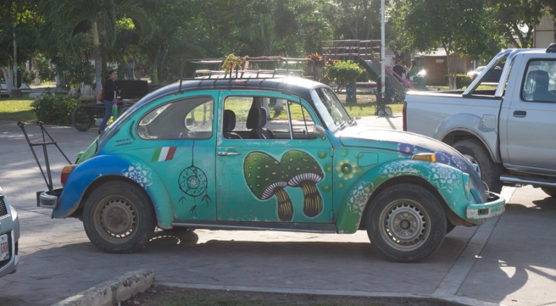 laguna bacalar beetle