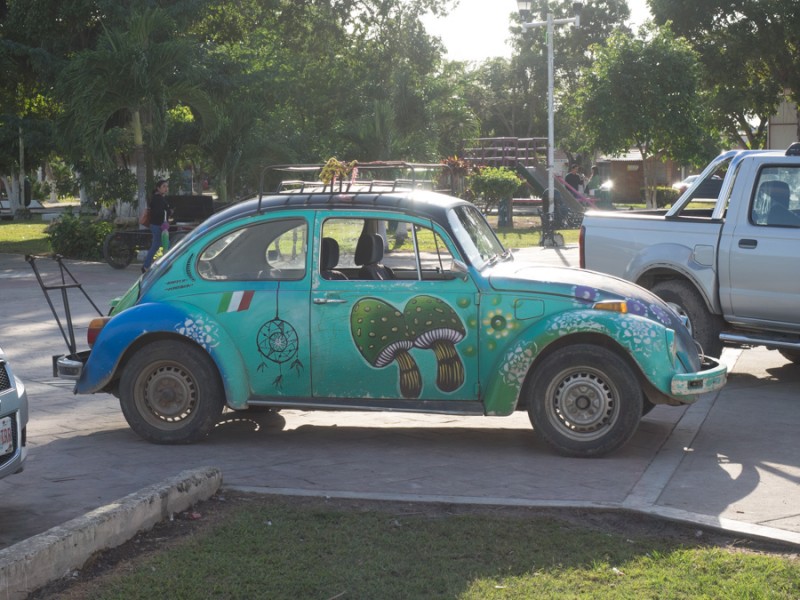 laguna bacalar beetle