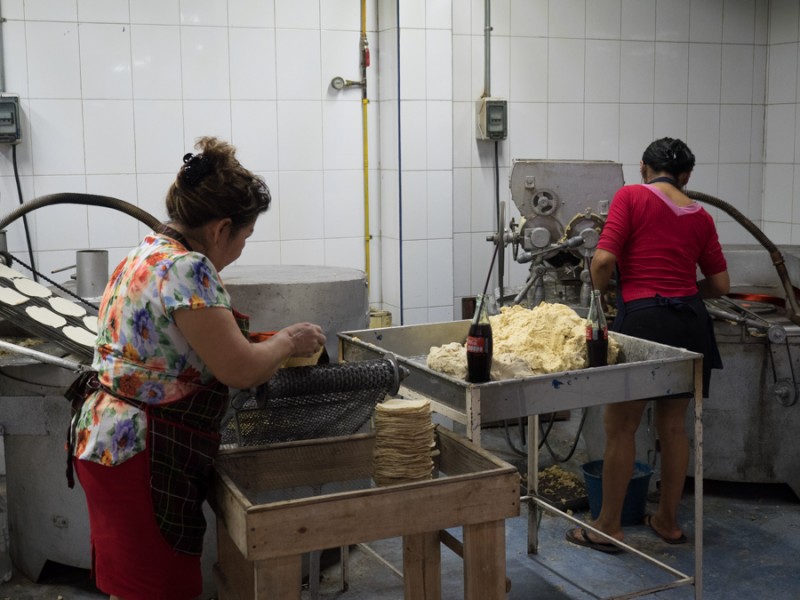 merida tortilla factory