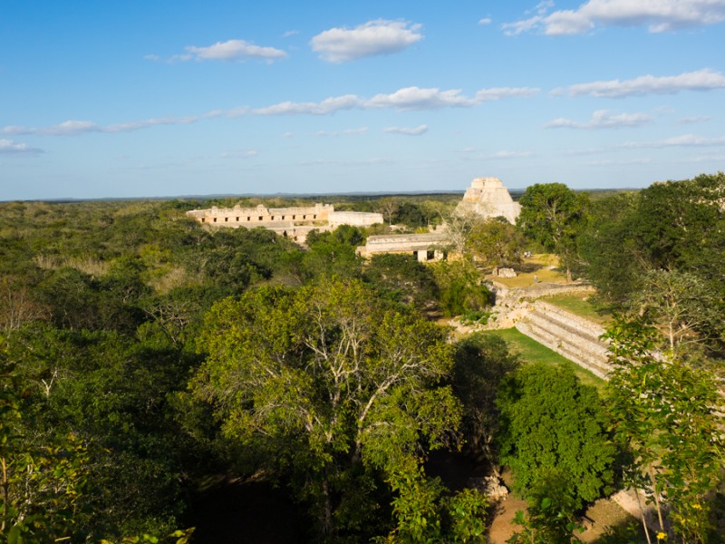 uxmal jungle