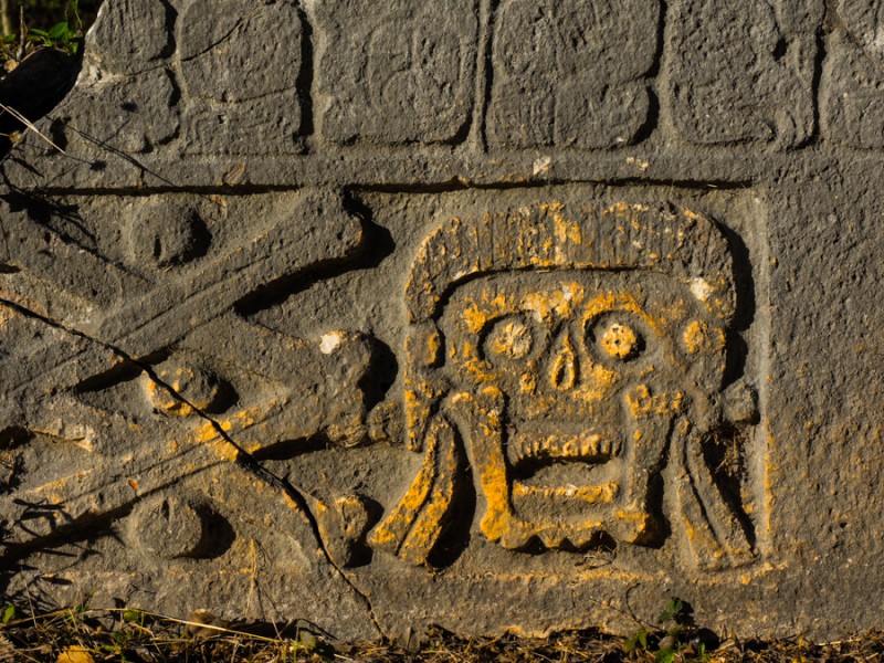 uxmal skull