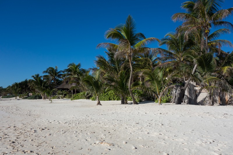wonderful tulum beach