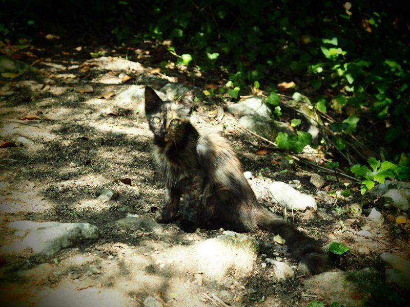 necropoli di pantalica cat