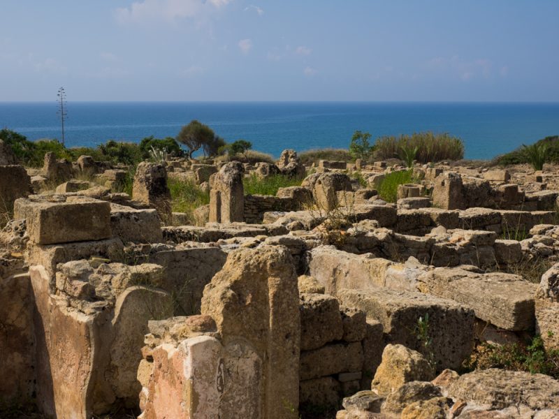 selinonte archeology