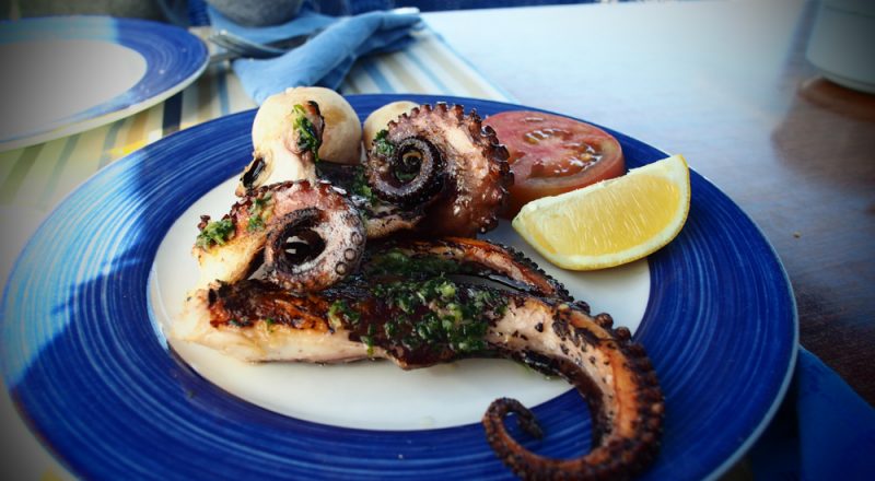 lanzarote costa azul octopus