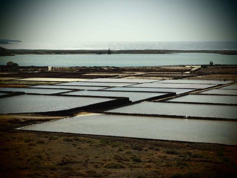 salinas del janubio lanzarote
