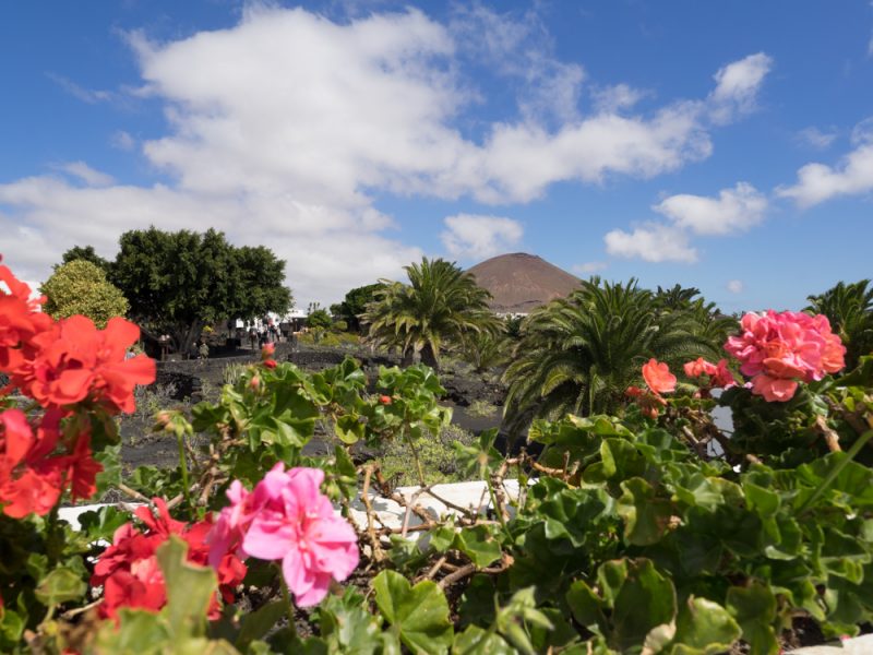 cesar manrique foundation car park
