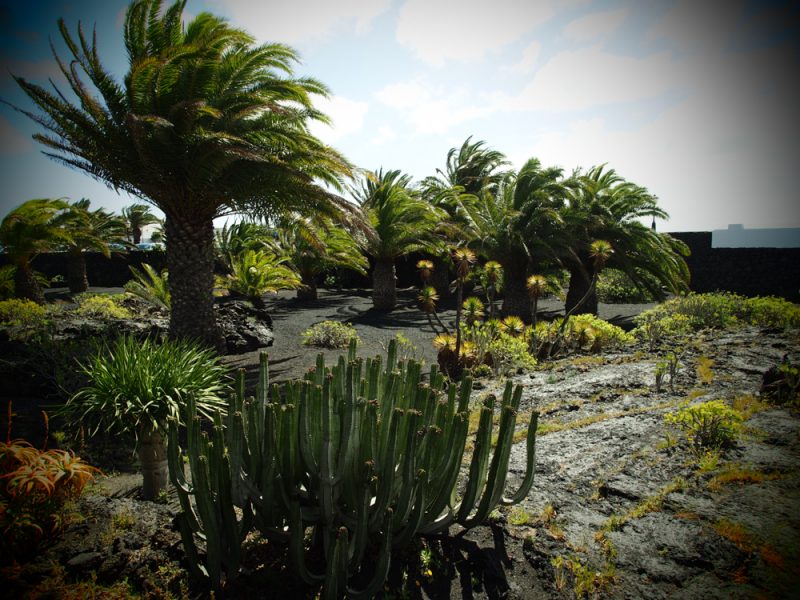 cesar manrique foundation garden